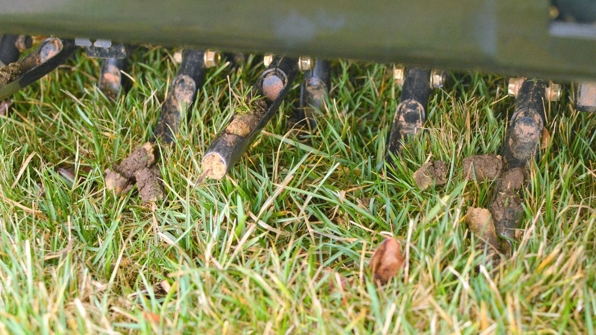 What Does the Core Aeration Process Involve?