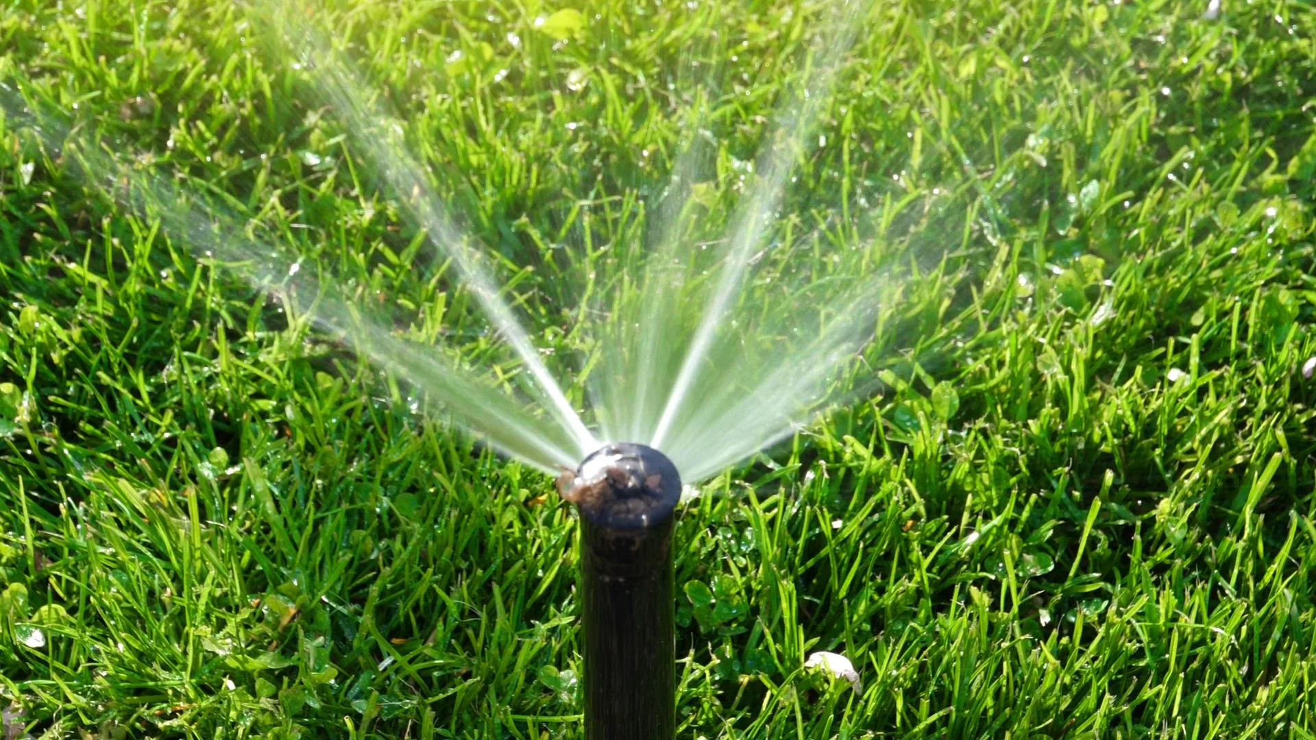 How to Tell What’s Wrong With Your Irrigation System
