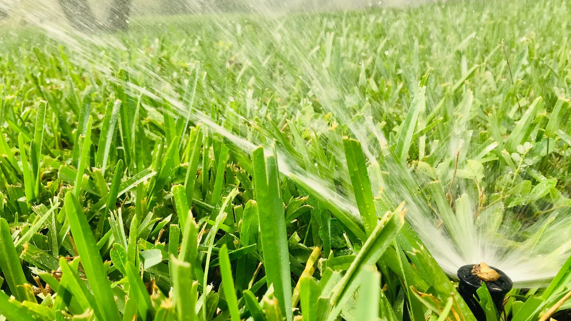 Is It Easy to Repair an Irrigation System on Your Own?