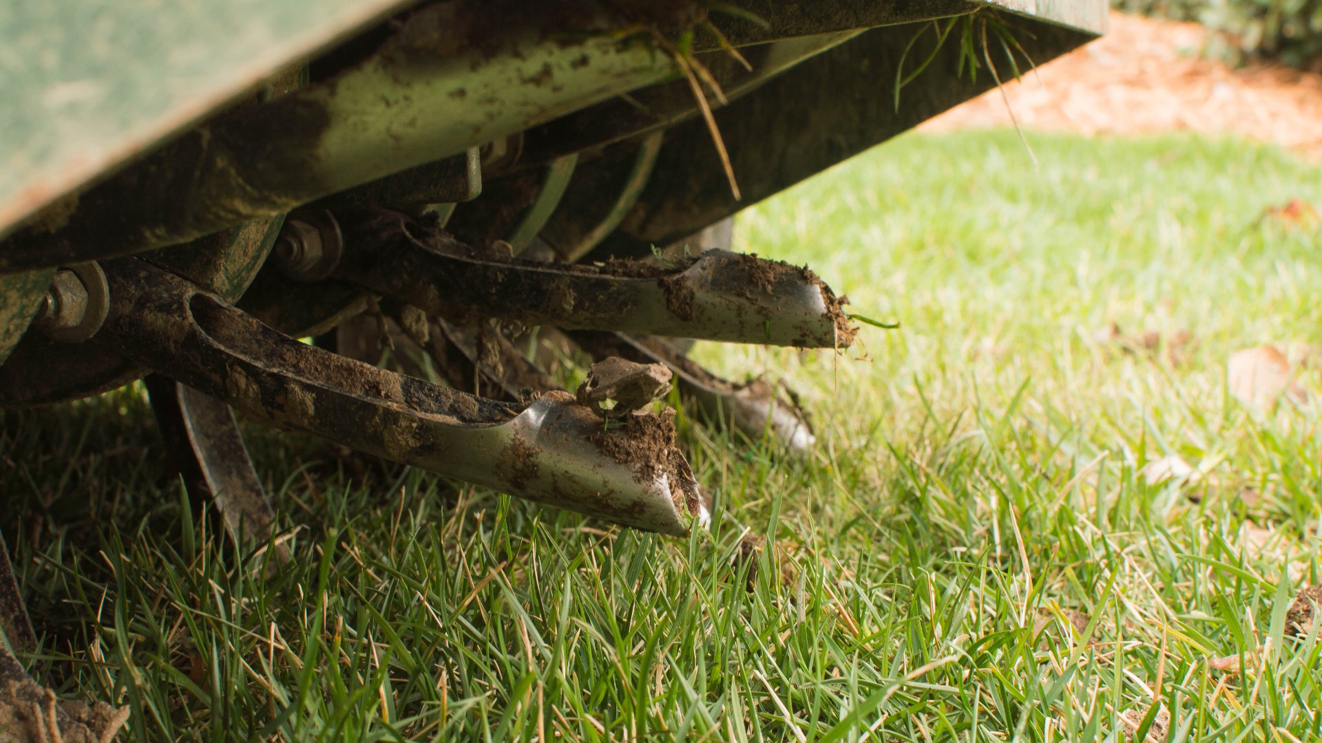 Do I Really Need to Aerate My Lawn This Fall?