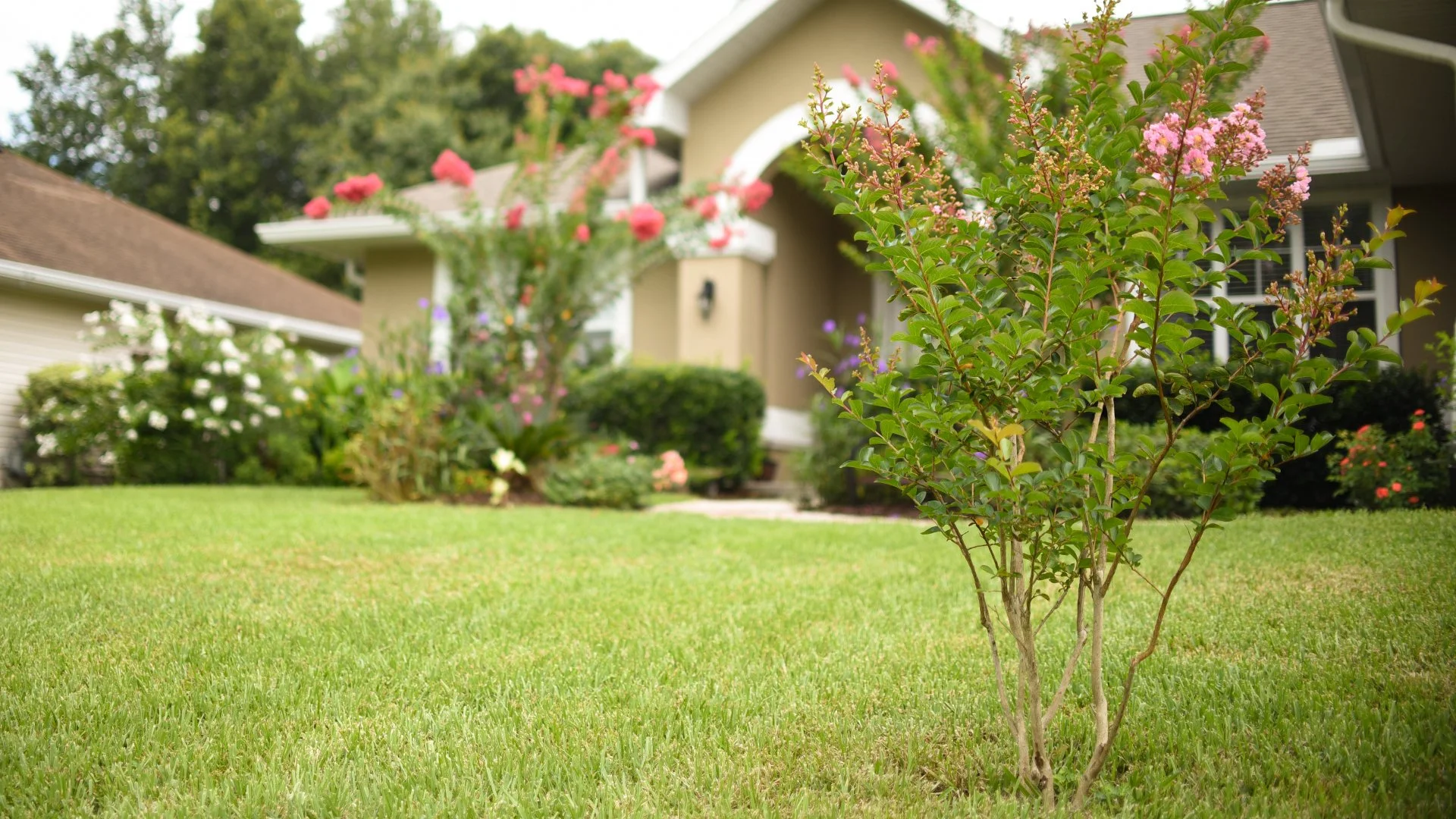 These Lawn Care Treatments Are a Must in the Spring!