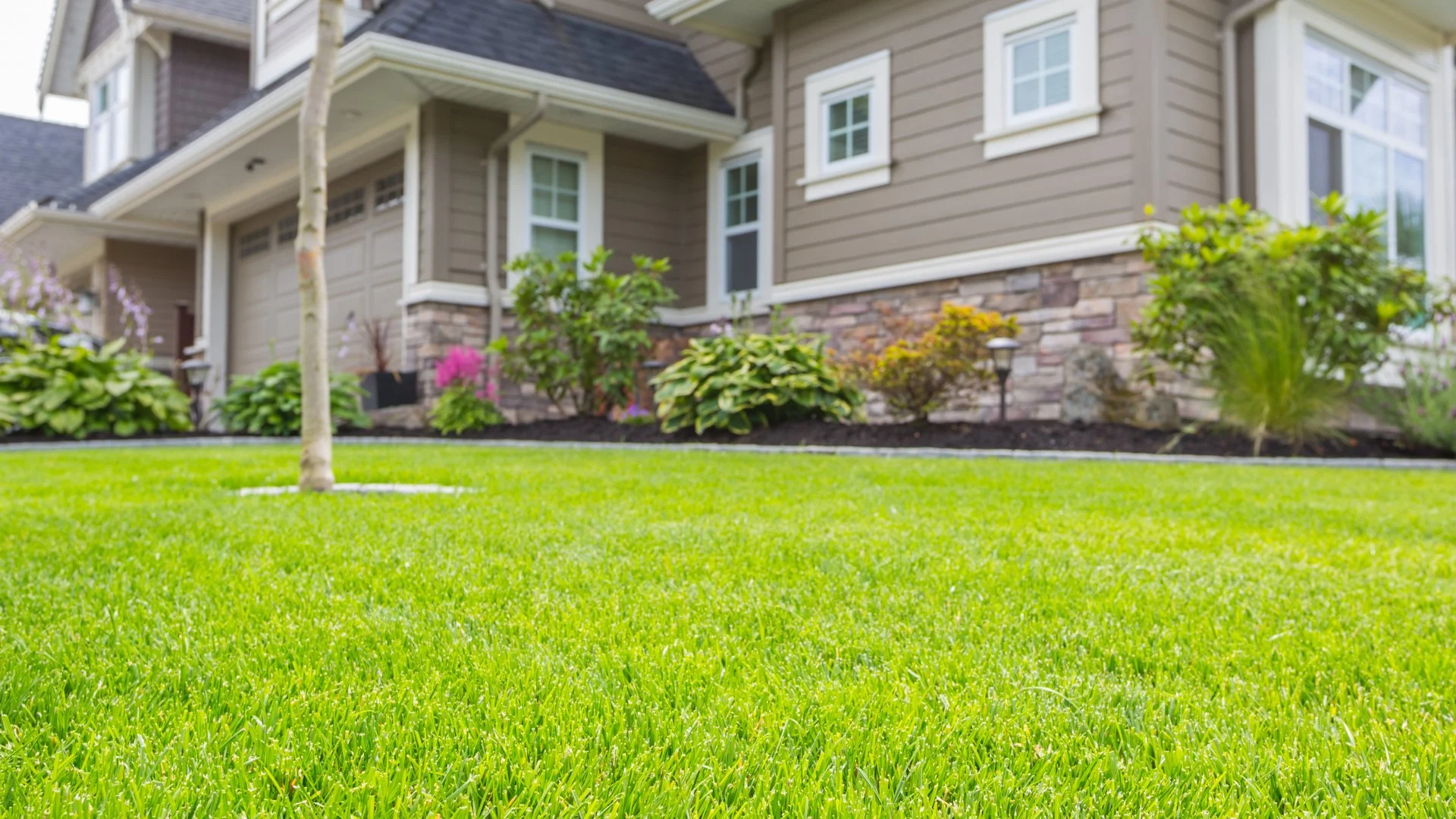 Why Don't Fertilizers Seem to Be Working for Your Lawn?