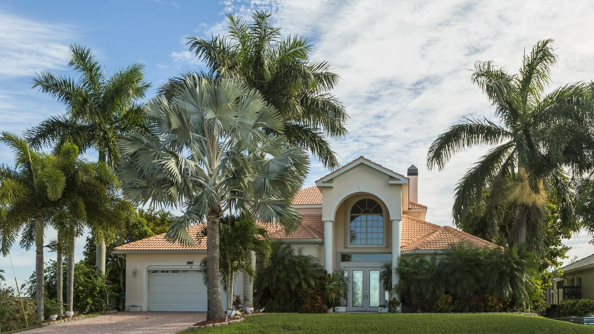 Spring Is the Perfect Time to Fertilize Your Trees & Shrubs