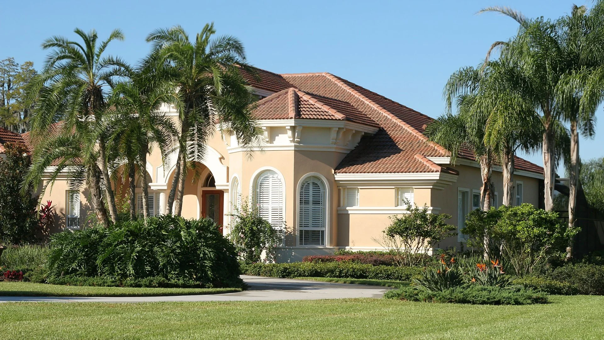 How Can You Tell if Your Trees & Shrubs Are Nutrient-Deficient?