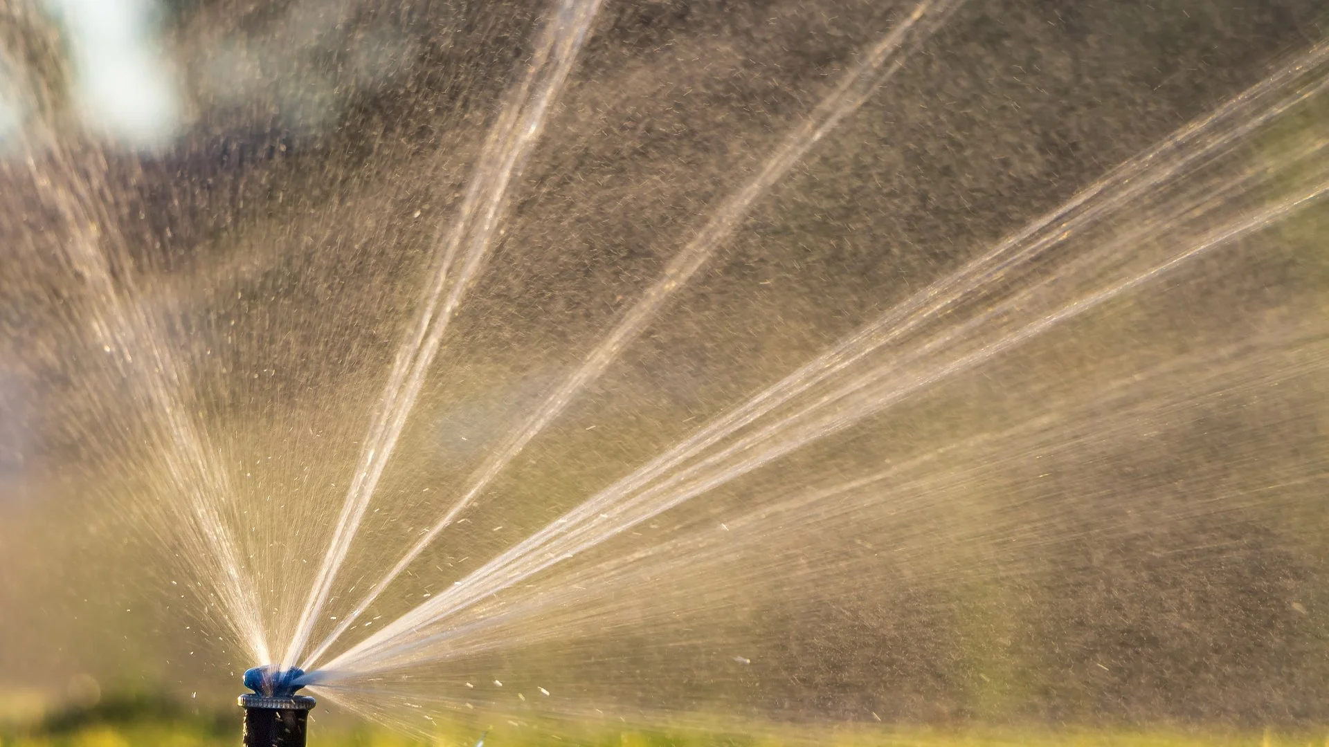 Are Fertigation Systems Worth It?