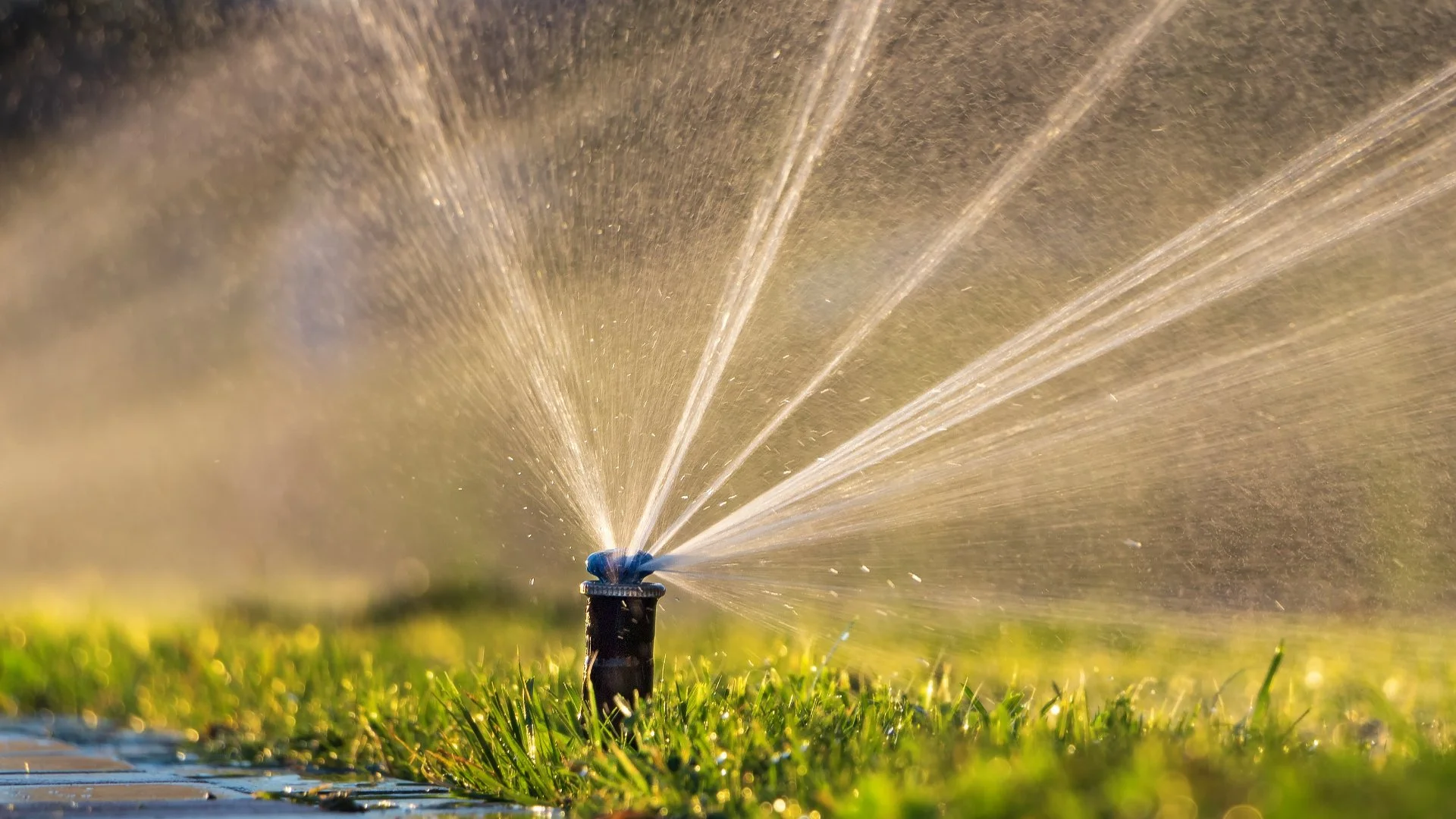 Green Flags to Look for in an Irrigation Repair Company