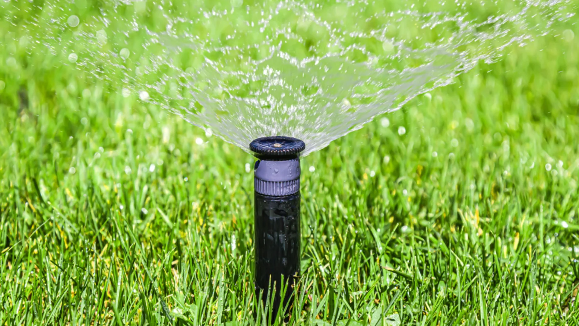 Opting Out of Irrigation Maintenance Could End Up Being a Big Mistake!