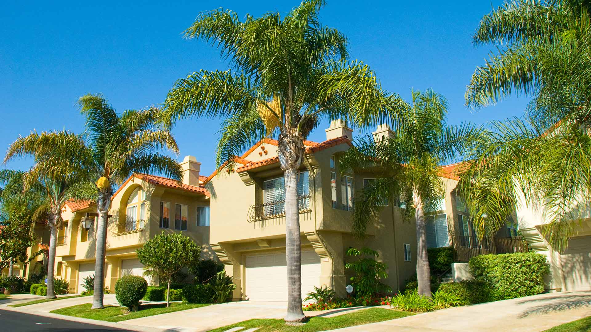 Residential homes in the Lady Lake, FL area with beautiful lawns, landscapes, and palm trees.