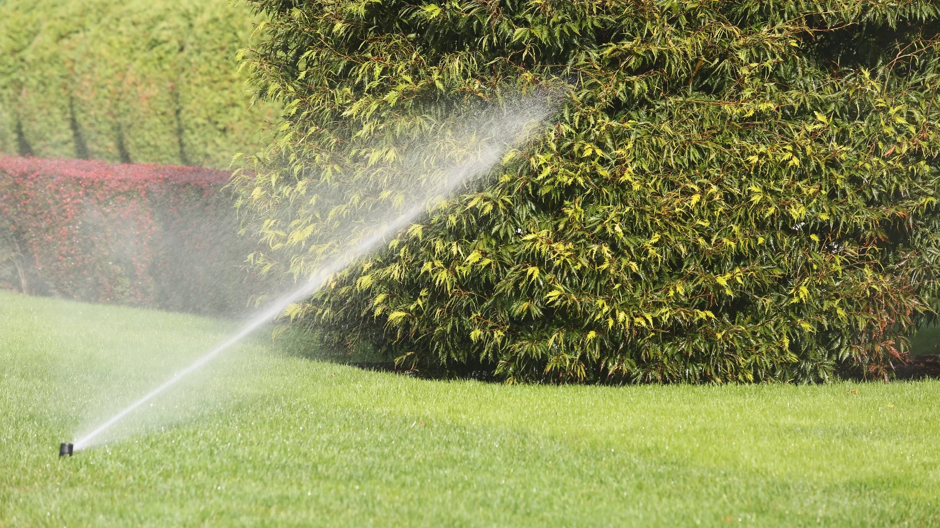 Irrigation Maintenance Programs: Worth the Investment?