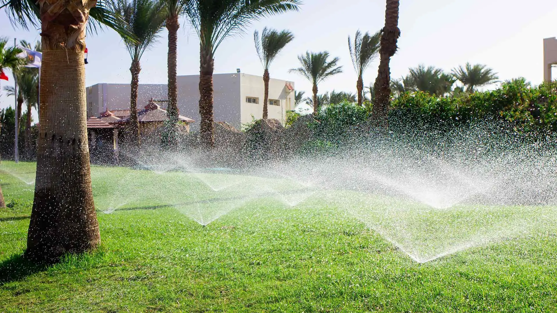 A beautiful lawn with palm trees and landscaping is being watered as the sun sets in The Villages, FL and nearby areas.