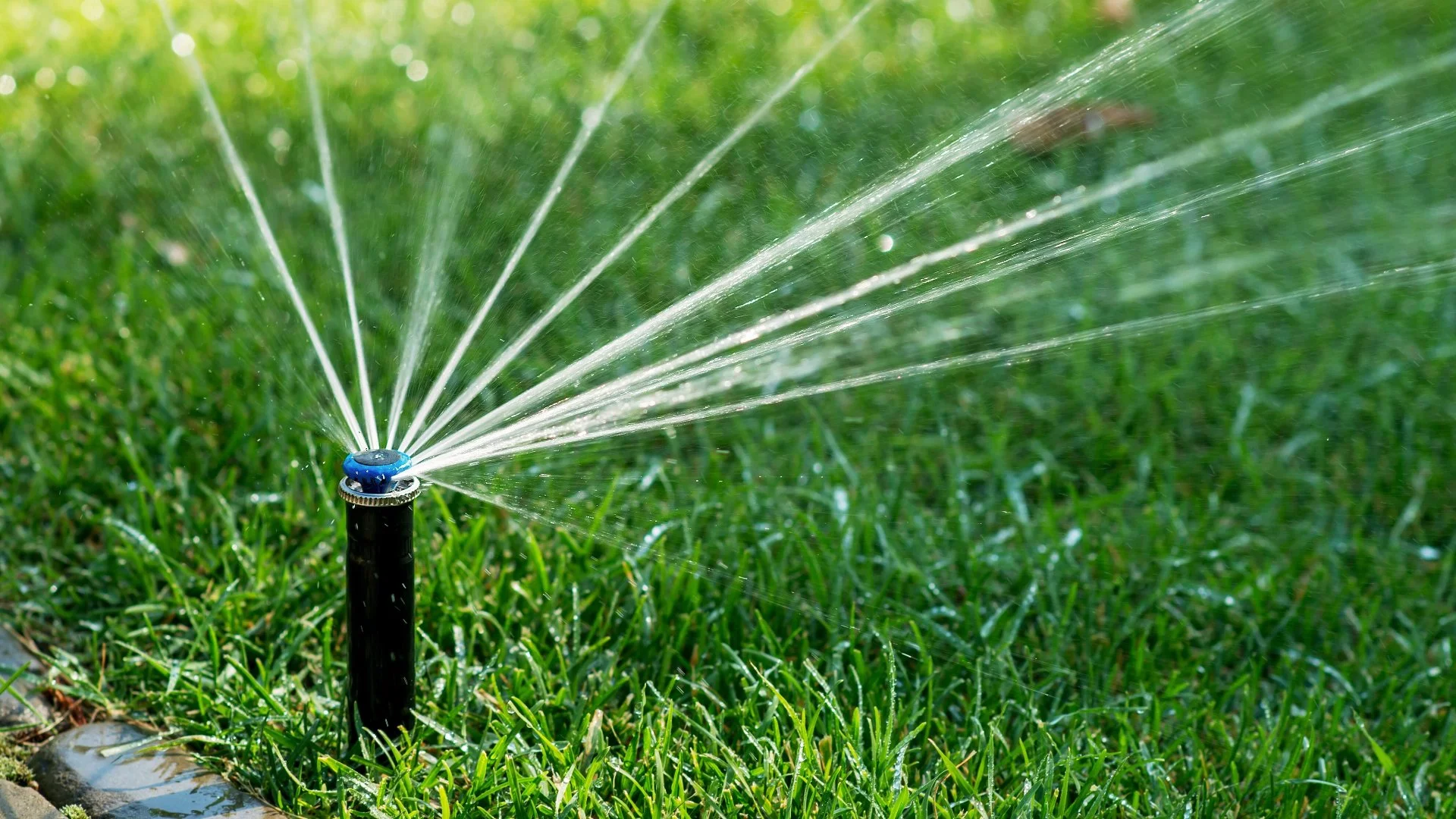Understanding the Cost of Irrigation System Repairs