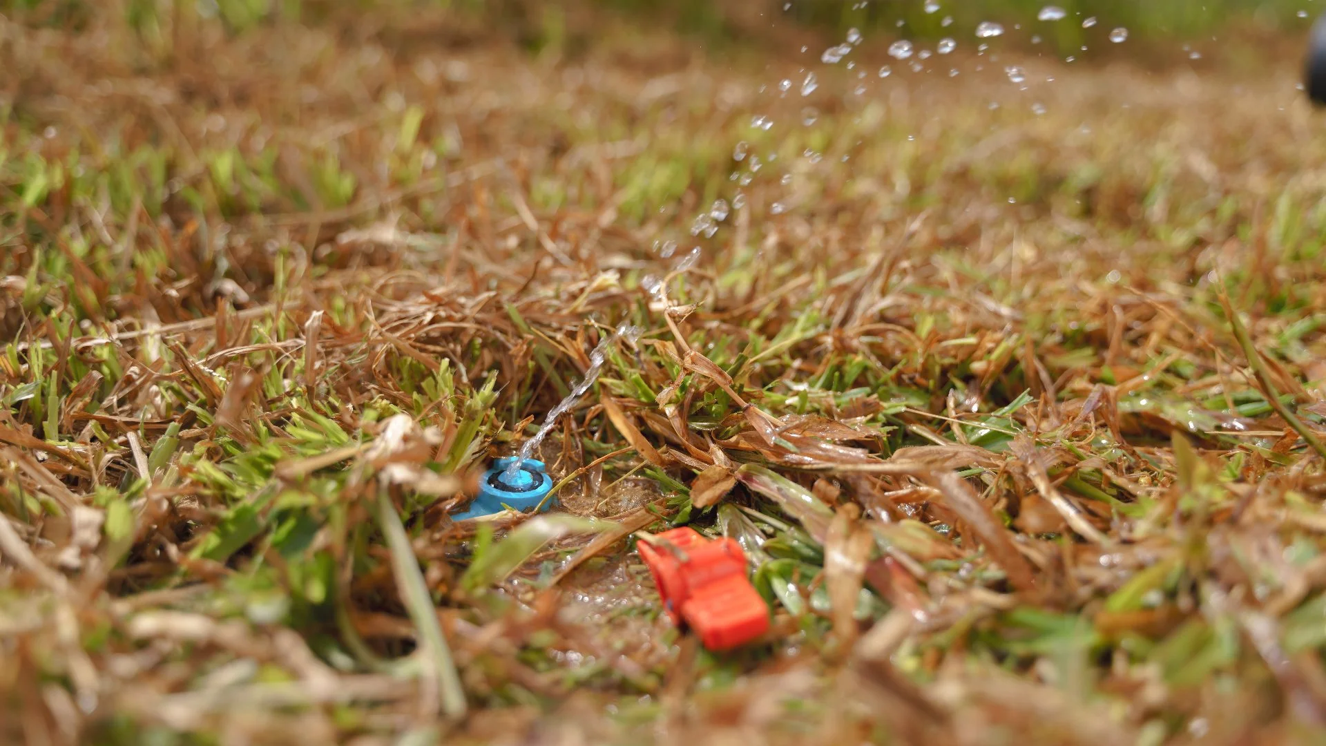 Irrigation System Leaks: Signs to Look For