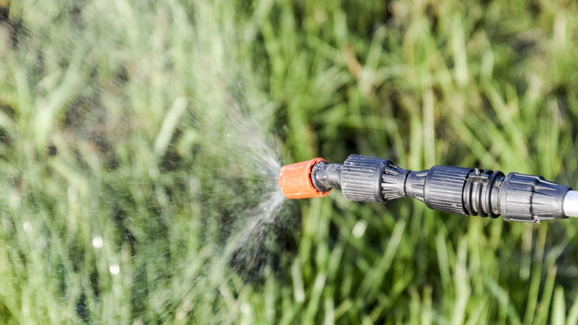Do I Really Need to Use a Pre-Emergent Weed Control Treatment This Year?
