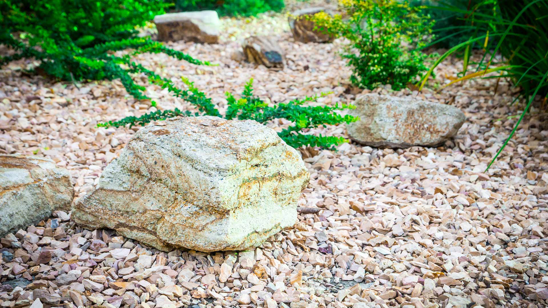 A beautiful white slate rock landscape bed with plants and large rocks near Lady Lake, FL.