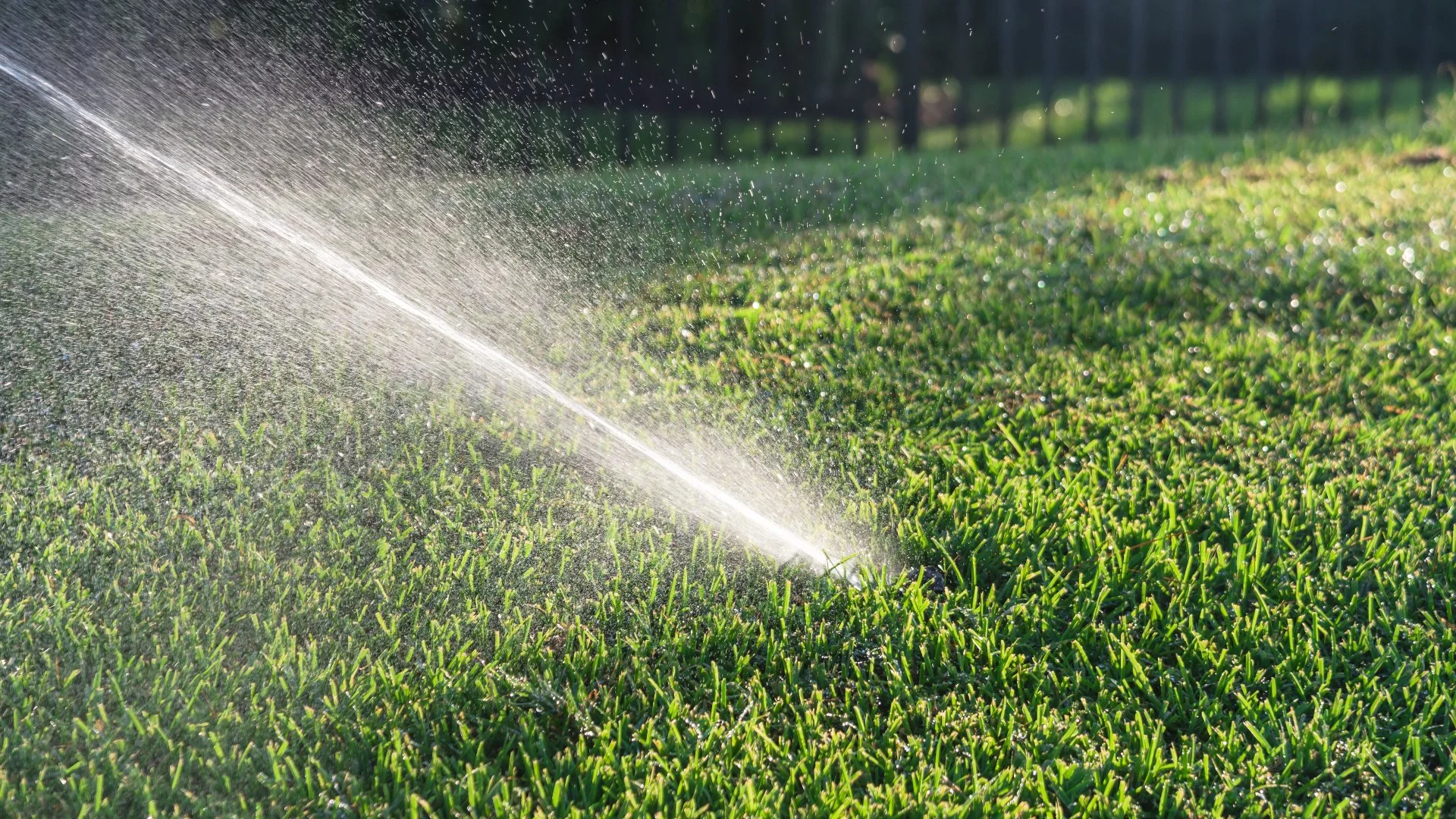 Why Is Your Irrigation System Not Working?