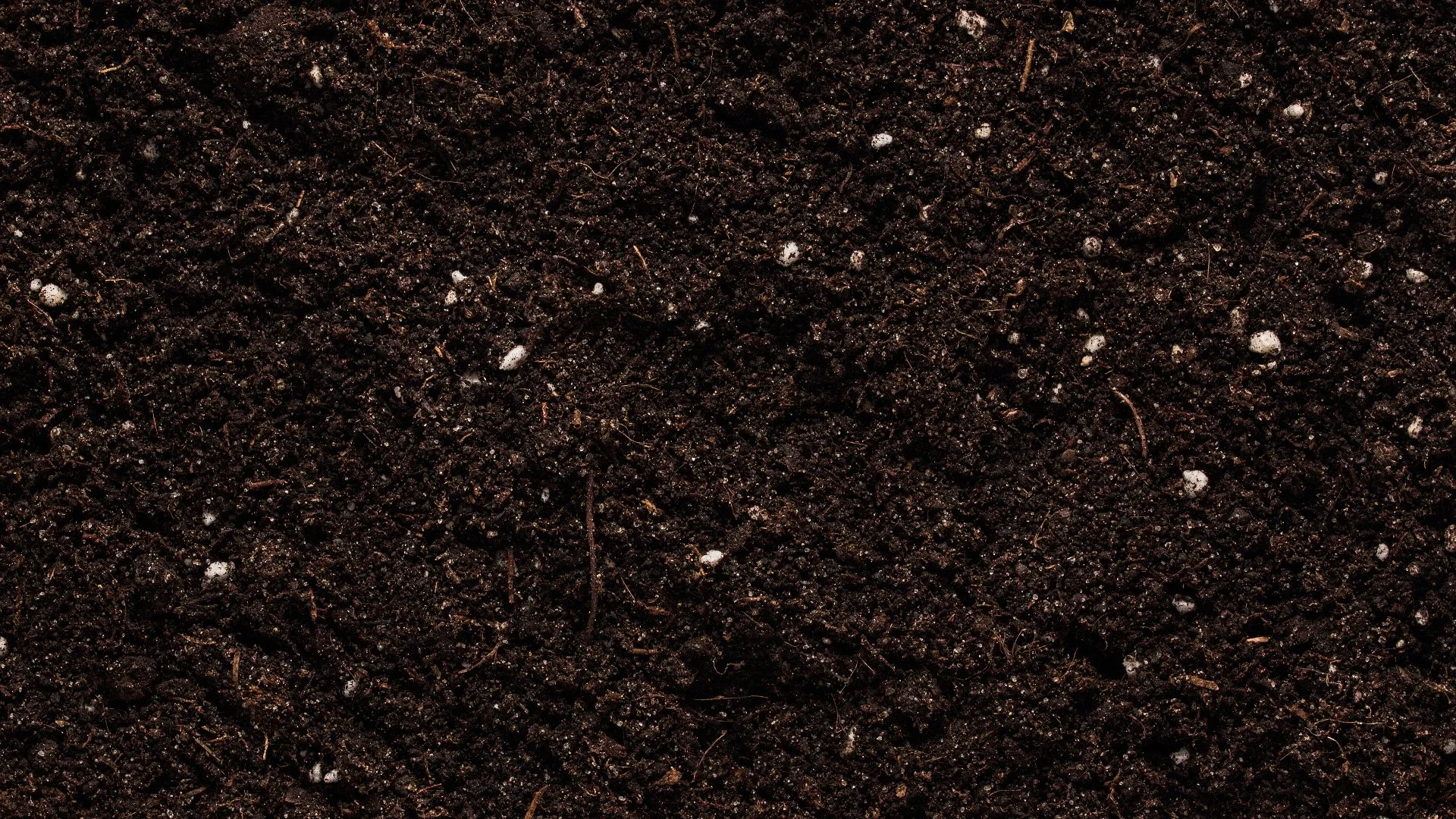 What's the Best Topdressing Material for Your Lawn?