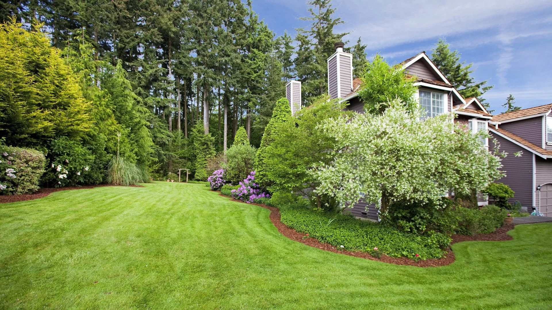 Tree & Shrub Fertilization Is Important - But Leave It to the Pros!