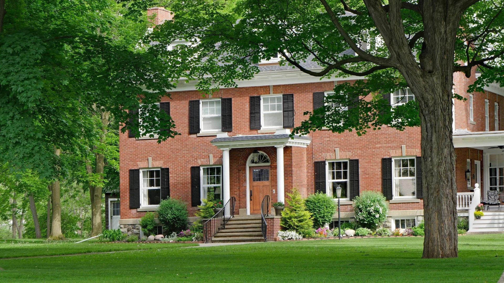Can Fertigation Be Used for Trees & Shrubs?