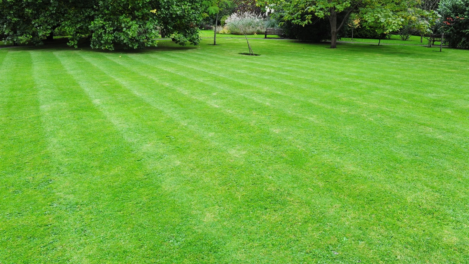 Fertigation vs Traditional Fertilization - Which Option Is Better?