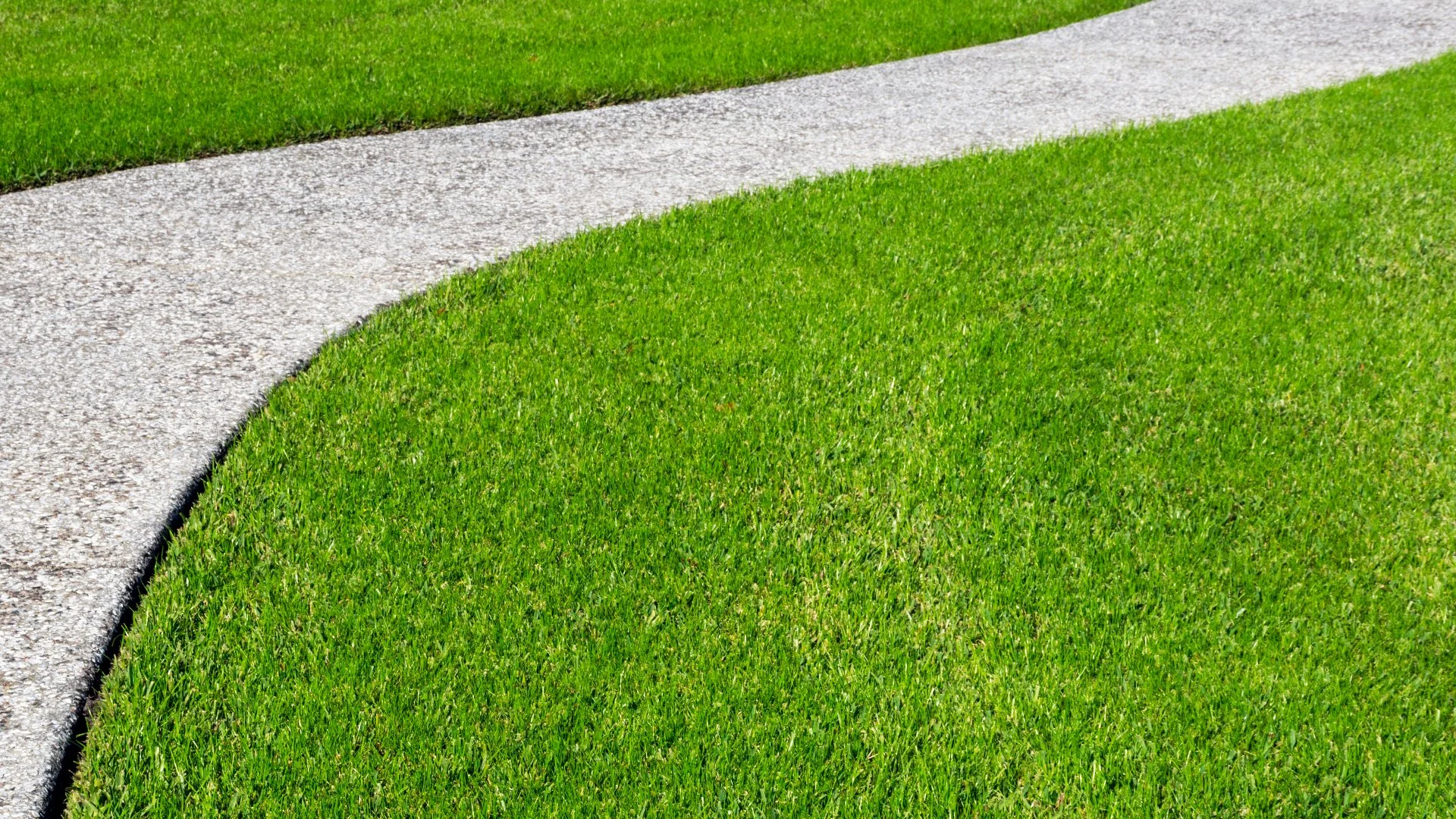 Topdressing 101: What It Is & How It Helps Your Lawn