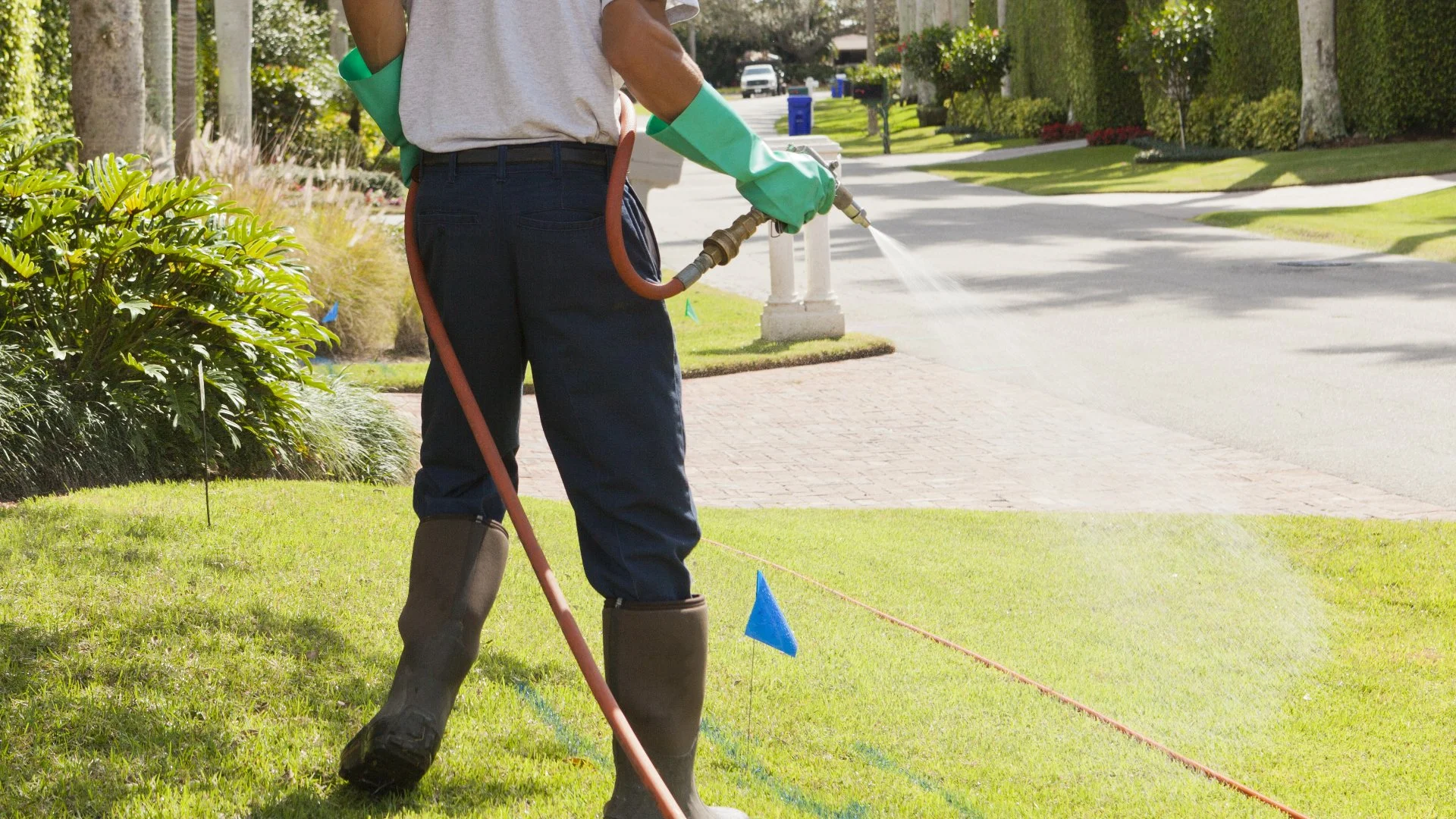 Lawn Fertilization & Weed Control Should Always Go Hand in Hand!