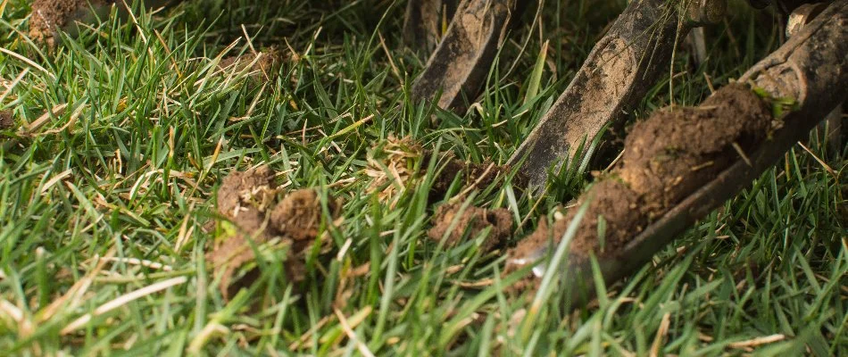 Aerator on a lawn in The Villages, FL.