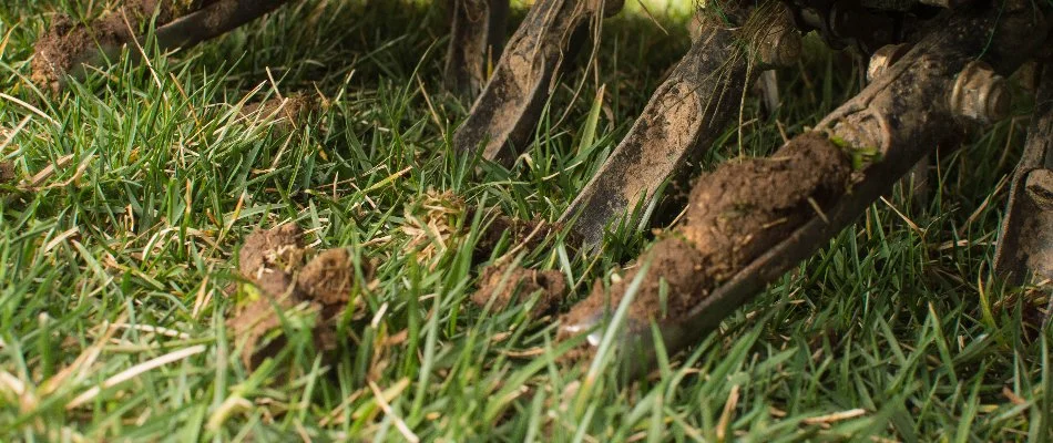 Aerator in The Villages, FL, with plugs of soil.