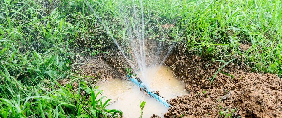 Broken irrigation line with a puddle in The Villages, FL.