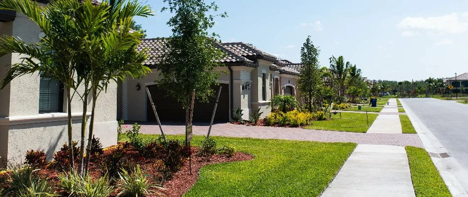 Homes with healthy lawns in The Villages, FL.