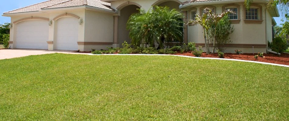 Green lawn and palms in a front yard in The Villages, FL.