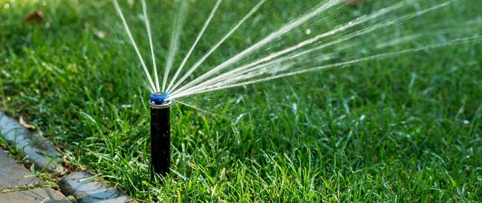 Green lawn in The Villages, FL, with an irrigation sprinkler head.