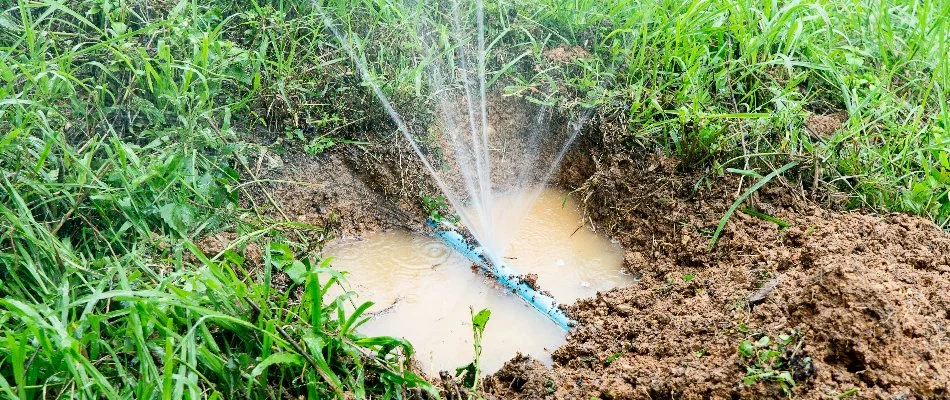 Leaking irrigation line underneath a lawn in The Villages, FL.