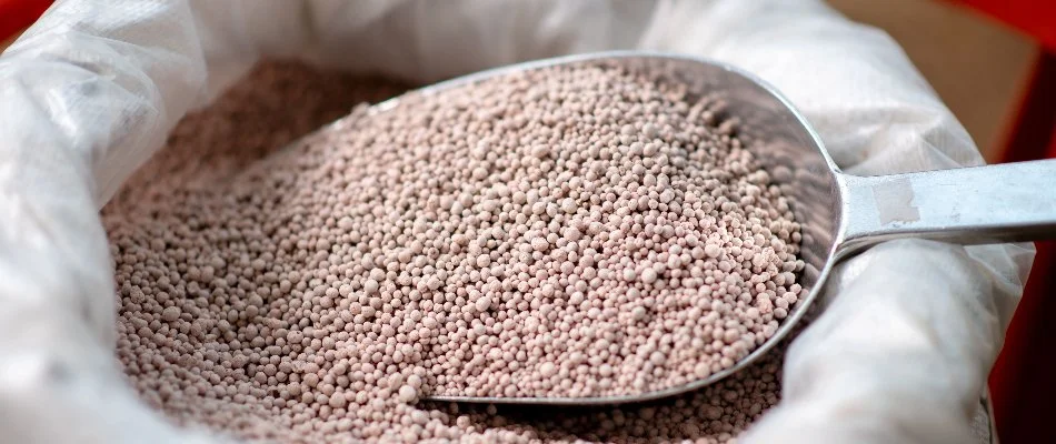 Scoop of granular fertilizer in The Villages, FL.