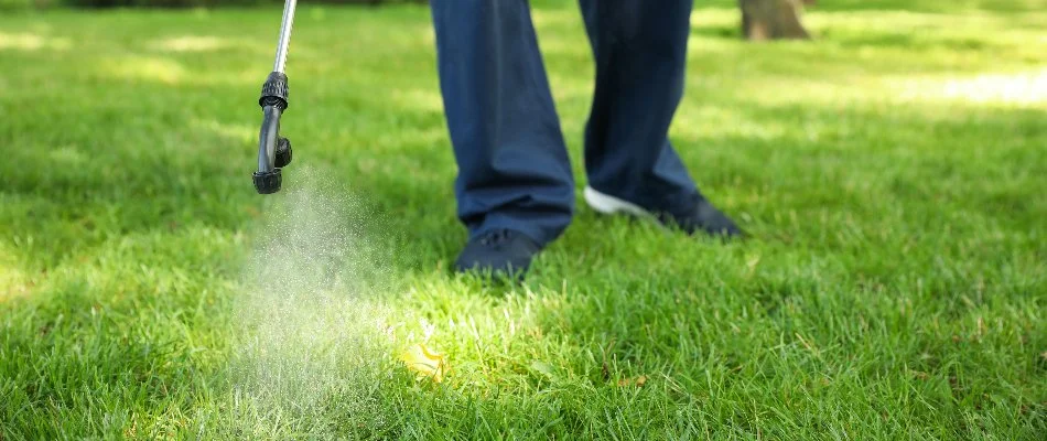 Spraying preventative disease control on grass in The Villages, FL.
