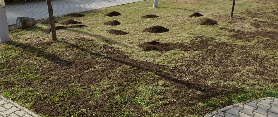 Applying topdressing on lawn in The Villages, FL.