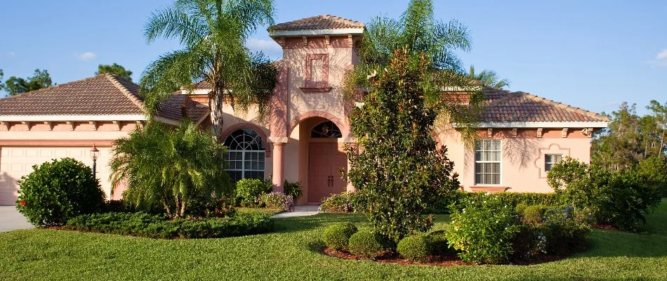 Trees and shrubs in front of a house in The Villages, FL.