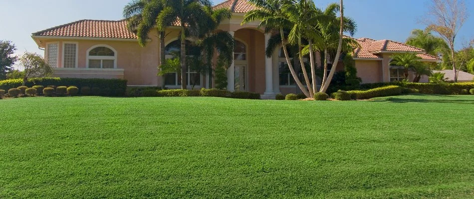 Vibrant, green grass in The Villages, FL, with a house and palms.