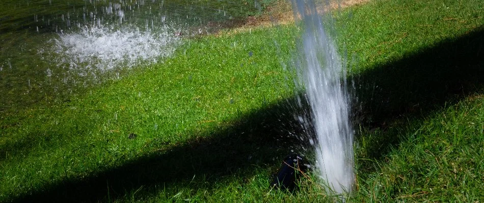 Water bursting out of a pipe on a lawn in The Villages, FL.