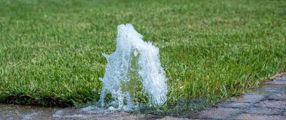 Water from a sprinkler head in The Villages, FL, shooting upwards.