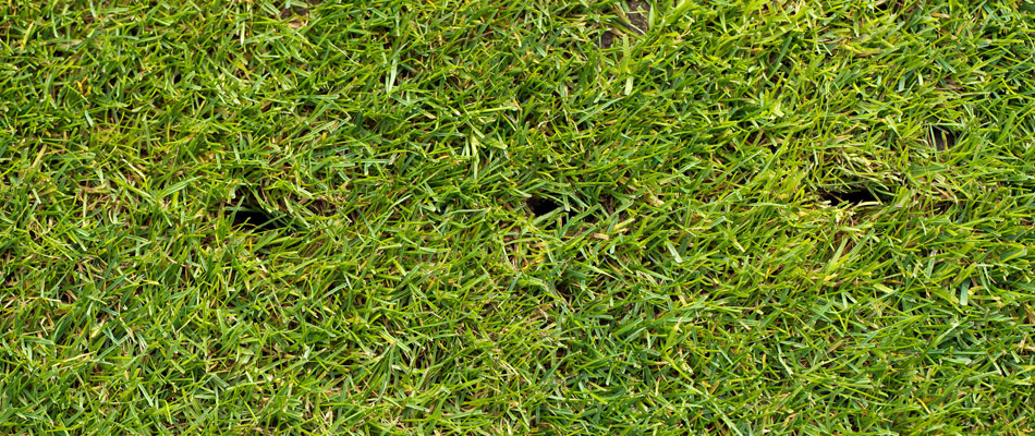 Aerated lawn in Stonecrest, FL.
