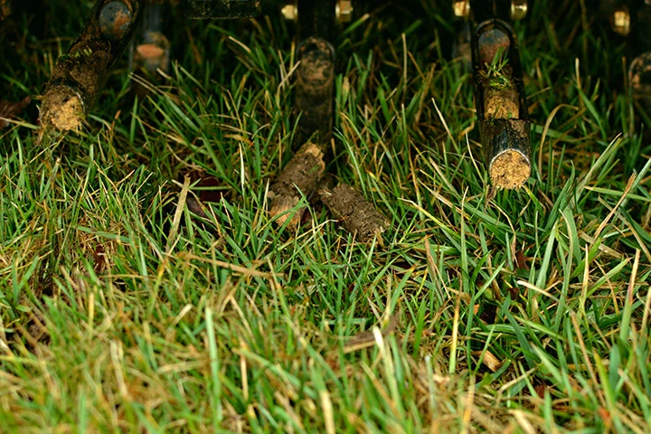 An aeration machine at work aerating a lawn near The Villages, FL.