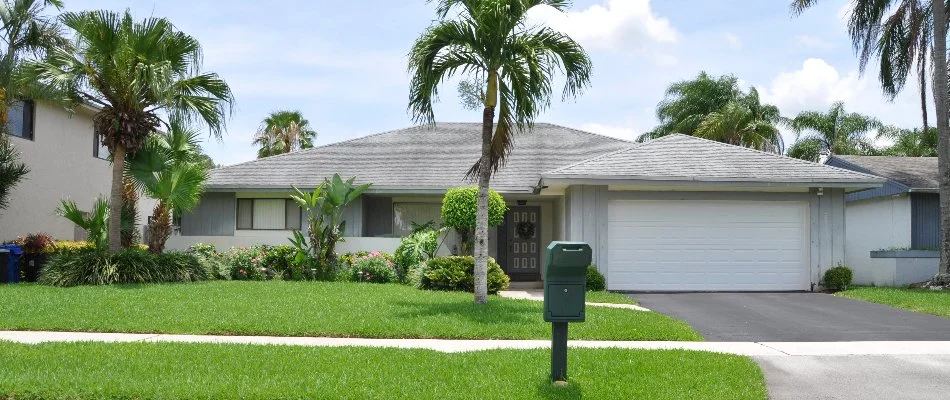 Lawn in Florida with healthy grass and palm trees.