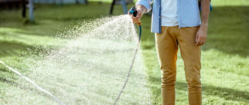 A homeowner watering sod lawn in The Villages, FL.