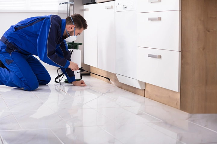 An interior pest control specialist is applying a control solution to a kitchen.