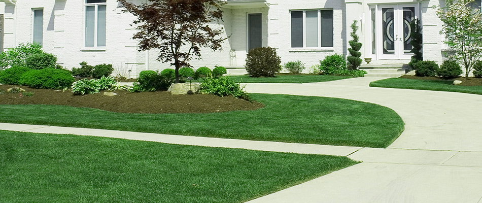 A beautiful, healthy lawn with a sidewalk cutting through, aesthetic landscaping and a large white brick home in the background.
