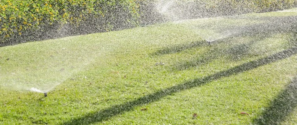 Lawn in The Villages, FL, with sprinkler heads.