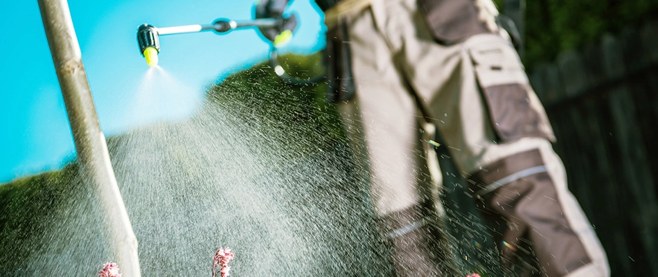 Expert applying a liquid tree fertilizer to the base of a young tree in The Villages, FL and nearby areas.