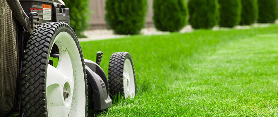 A lawn mower up close cutting the grass of a beautifully currrated lawn near Lady Lake, FL.