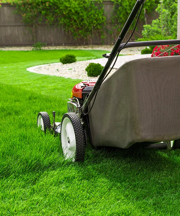 A push mower cutting an imaculate lawn near Lady Lake, FL.