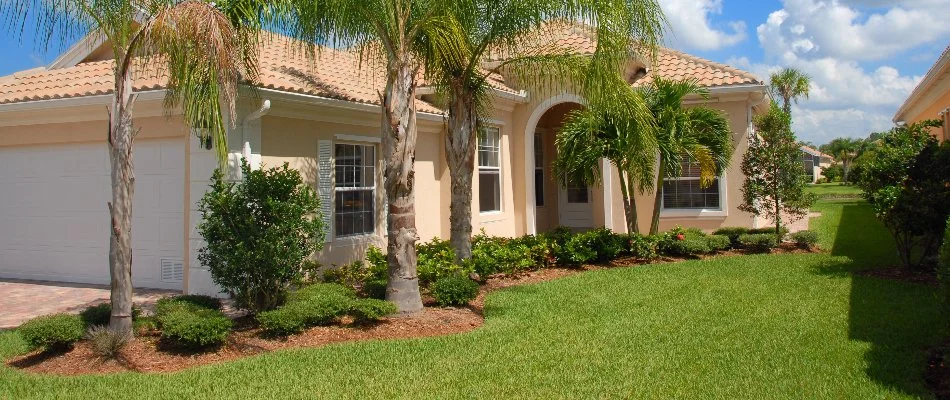 Residential lawn with green grass and palm trees in The Villages, FL.